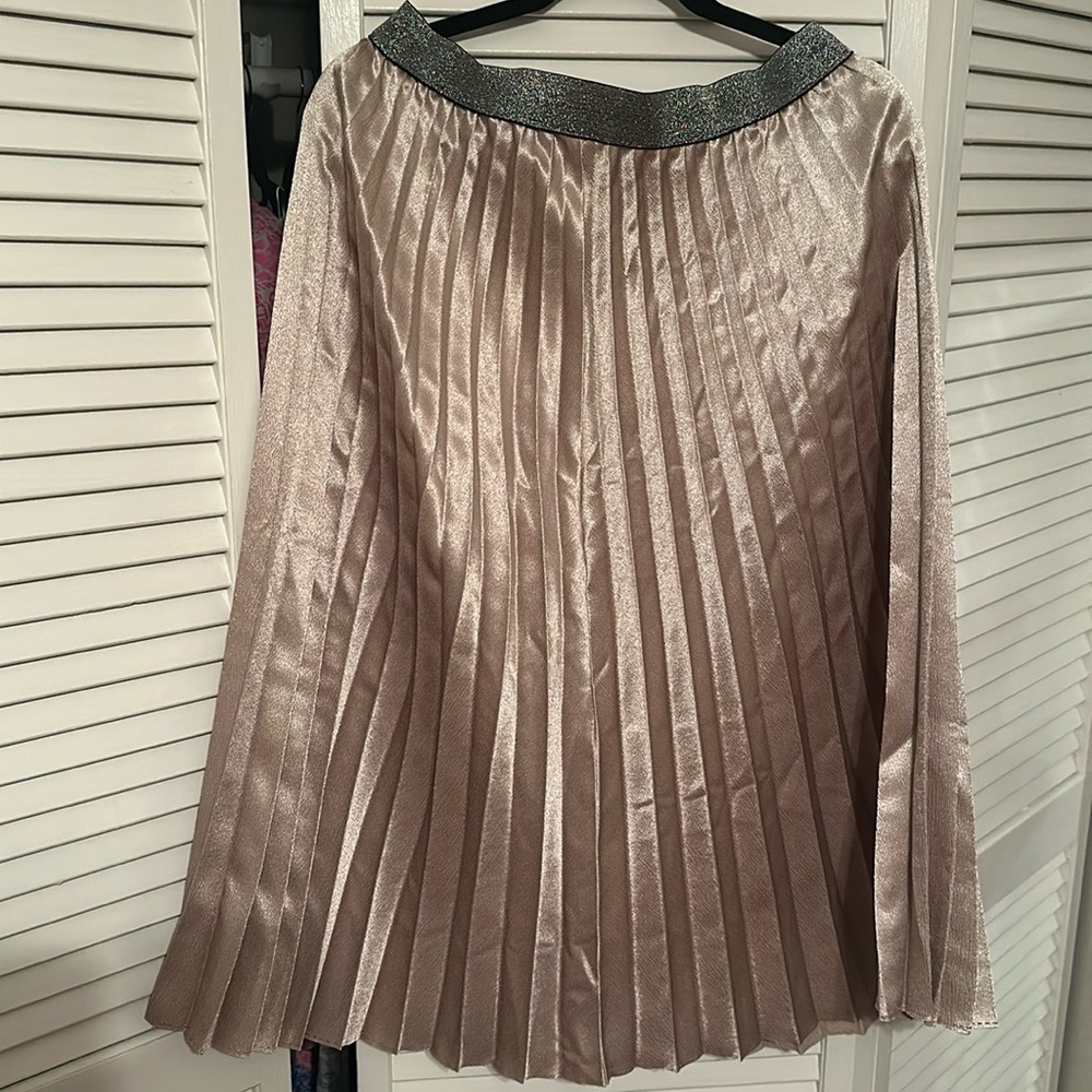 Amazon Chartou Metallic Skirt Size XL